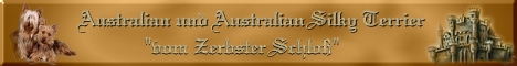 Banner_AustralianundAustralianSilky_vomZerbsterSchloss
