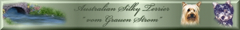 Banner_SilkiesvomGrauenStrom1